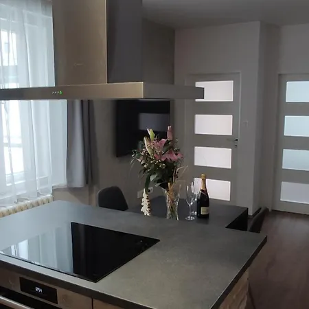 Apartmany U Holubu Na Namesti Roznov pod Radhostem Exterior photo