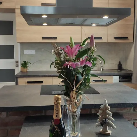 Apartmany U Holubu Na Namesti Roznov pod Radhostem Exterior photo