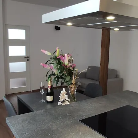 Apartmany U Holubu Na Namesti Roznov pod Radhostem Exterior photo