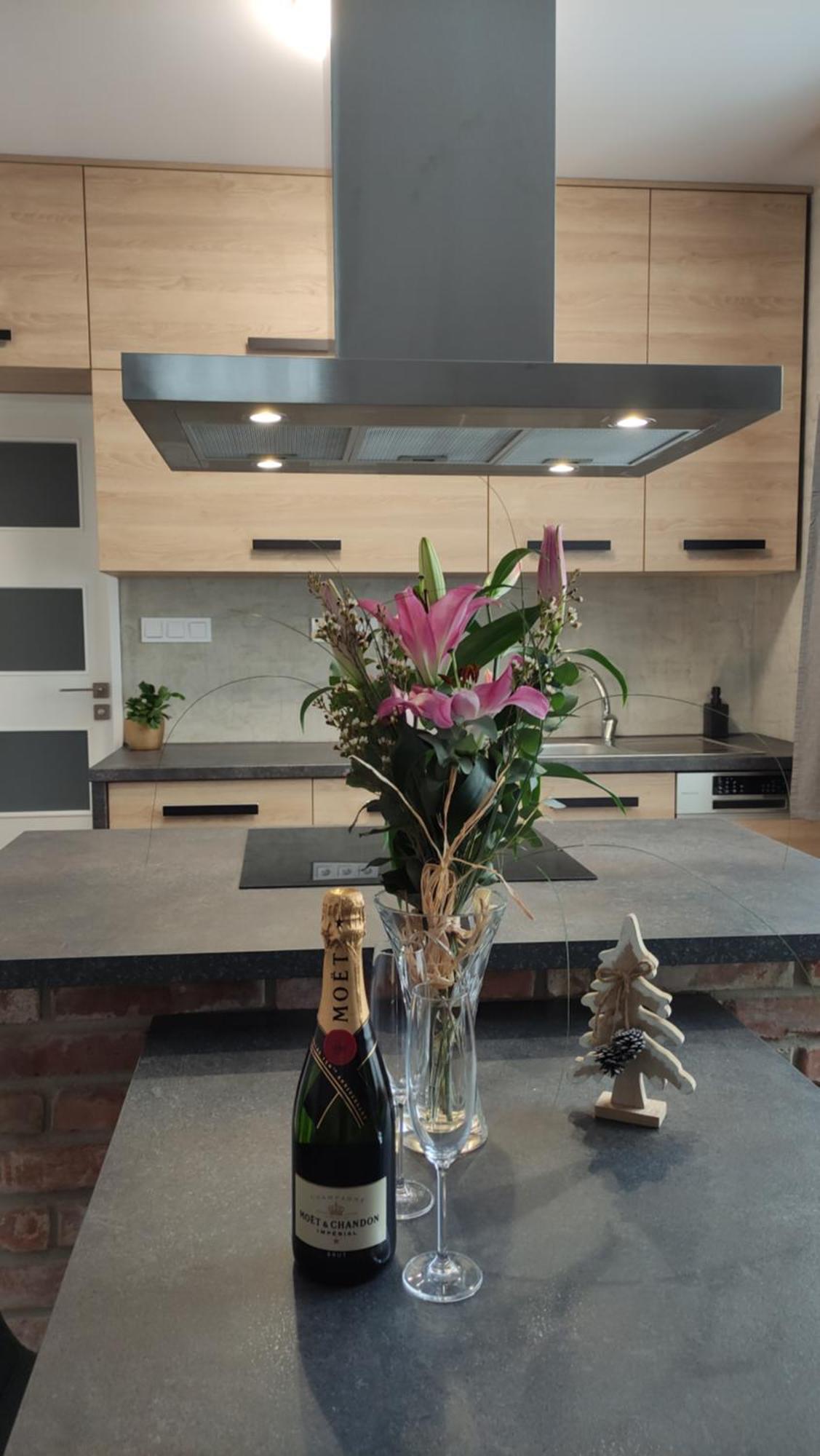 Apartment U Holubu Na Namesti Roznov pod Radhostem